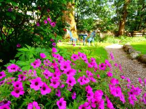 a bunch of pink flowers in a garden at Riverside Bed & Breakfast in Bainbridge