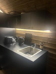 Kuchyň nebo kuchyňský kout v ubytování Arctic circle cabin 1