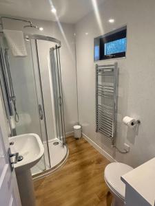 Bluebell Lodge 5 with Hot Tub في نيوتن ستيوارت: حمام مع دش ومرحاض ومغسلة