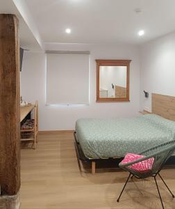 a bedroom with a bed and a mirror and a chair at Studio&Rooms Ortuzar in Durango