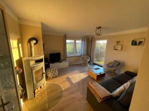 Funnenser Deichhaus في انجرلاند: غرفة معيشة مع أريكة ومدفأة