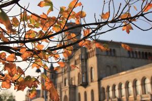 ein Baum mit orangefarbenen Blättern vor einem Gebäude in der Unterkunft home31 in Hemmingen + 2 Fotos