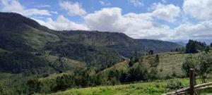 a view of a valley with hills and trees at Shobha home stay in Vattavada