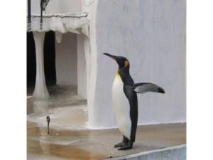 Zvířata v hotelu nebo okolí