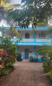 ein blau-weißes Gebäude mit einer Palme in der Unterkunft Amore Holiday Home in Canacona