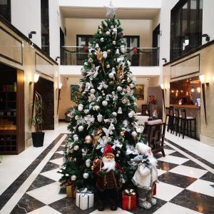 Fotografie z fotogalerie ubytování Europa Royale Bucharest v Bukurešti