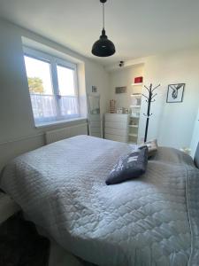 a bedroom with a large bed and a window at Apartmán Jedľa pod Tatrami in Jezersko