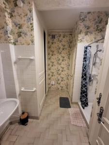 une salle de bain avec une baignoire, un lavabo et une douche dans l'établissement Les Gîtes Chez Léo, à Bar-sur-Aube