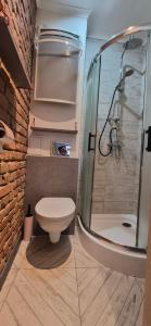 un bagno con wc e doccia in vetro di Staszica Starówka a Olsztyn Altre 39 foto