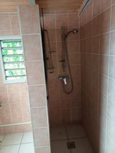 a shower in a bathroom with brown tile at Studio charmant près de Pointe-à-Pitre 50 m² avec balcon in Pointe-à-Pitre