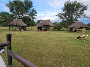 Фотография из галереи Lush Horizons Game Lodge в городе Модимолле