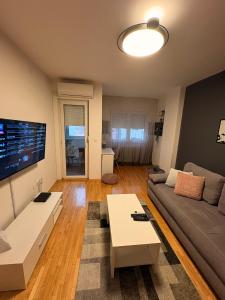 TV a/nebo společenská místnost v ubytování NAR Royalton Apartment #27