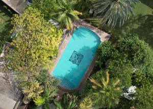 an overhead view of a swimming pool surrounded by trees at Ranbanka Palace in Jodhpur