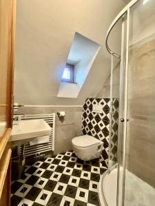 um banheiro com vaso sanitário, pia e chuveiro em Penzion U Studeného potoka em Nové Hutě