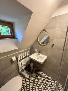 Penzion U Studeného potoka في نوفي هوتو: حمام مع حوض ومرحاض ومرآة +59 صورة