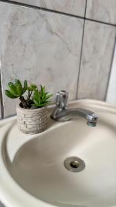 Fotografie z fotogalerie ubytování Périco Hotel v destinaci Igarassú