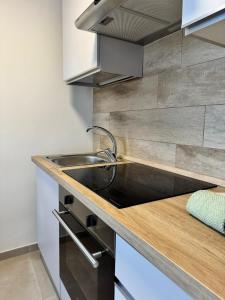 a kitchen with a sink and a counter top at Tonale Sweet House in Passo del Tonale