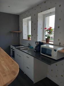 una cucina con bancone, forno a microonde e lavandino di Les Brimbelles a Brû Altre 25 foto