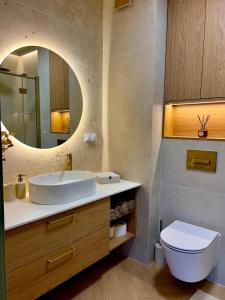 een badkamer met een wastafel, een toilet en een spiegel bij Cisowa Garden Suite in Świdnik