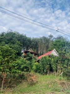 a group of houses on a hill with trees at Pizza classic resort kohjum in Ban Ko Phrao