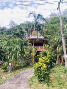 a house on the side of a hill with palm trees at Pizza classic resort kohjum in Ban Ko Phrao