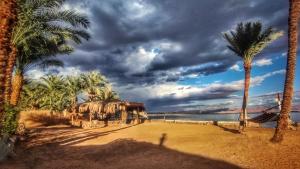Ảnh trong thư viện ảnh của Bayt Alhout ở Nuweiba