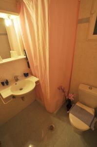 a bathroom with a toilet sink and a shower curtain at Ilis Hotel in Olympia