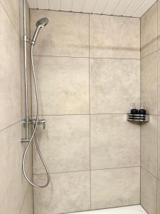 une douche avec pommeau de douche dans une salle de bain dans l'établissement Luxus Studio Apartment am Bodensee, à Güttingen