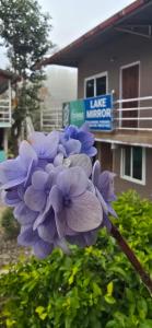 Galería fotográfica de Lake mirror en Pokhara