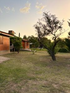 a tree in a yard next to a house at Complejo Ayllu in Las Rabonas