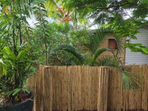 En have udenfor Kaz Bambou