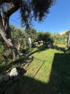 Κήπος έξω από το Lemon Garden Forio D'Ischia