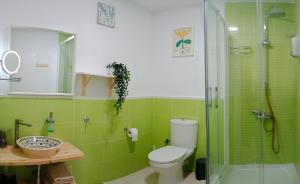 a green bathroom with a toilet and a shower at Casa Mencía in Plasencia +29 photos