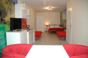 TV a/nebo společenská místnost v ubytování Willa Maksym