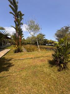 Κήπος έξω από το Samaya Waters Bentota