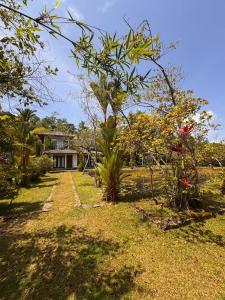 Κήπος έξω από το Samaya Waters Bentota