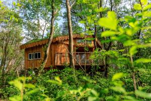 Budova, kde se kemp nachází