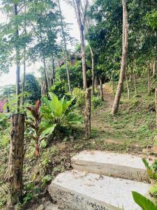 Afbeelding uit fotogalerij van Pizza classic resort kohjum in Ban Ko Phrao