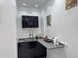 Kuchyň nebo kuchyňský kout v ubytování pYramids view Apartment & Studio's + 122 fotografií