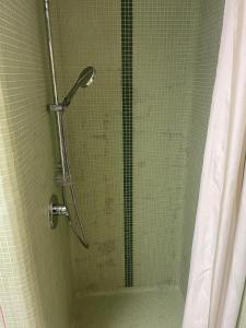 a shower with a glass door in a bathroom at Medical Wellness RehaKlinik und Aqualon Therme in Bad Säckingen