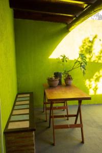 a table with two potted plants on top of a green wall at Tierra de Mariposas in Alta Gracia