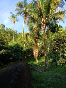 En have udenfor Entre Árvores Hoosts Confort