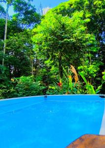 Πισίνα στο ή κοντά στο Monstera Forest Lodge