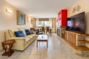 Телевизор и/или развлекательный центр в Catalunya Casas Beautiful villa just 25 km from the beach of Lloret de Mar