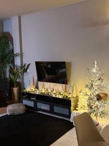 a living room with a christmas tree and a television at RHODESIA guest house in Chalkida +31 photos
