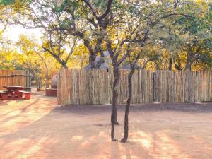 un árbol frente a una valla de madera en The Beehive Cabin, en Rhenosterfontein
