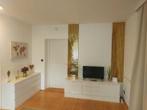 TV a/nebo společenská místnost v ubytování Golden Base