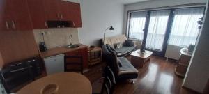 a room with a kitchen and a living room with a couch at Divčibare Snežna Kraljica ap 13 in Divčibare