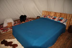 Una cama o camas en una habitación de Tipi Indien au Far west 20 fotos más