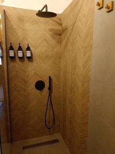 een badkamer met een douche met een douchekop en een douche bij Rooster Retreat in Aridaía